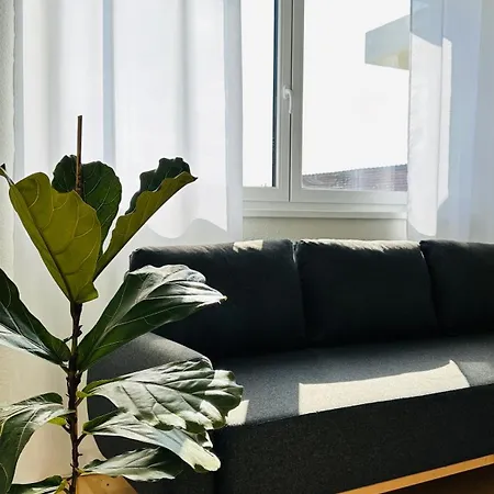 Amao-sepia I 86qm I King-size Beds I Netflix I Privat Balcony I Free Parking I Near Europapark Apartment Rheinhausen